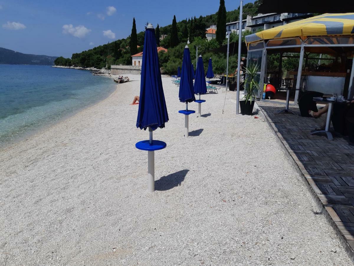Ante * Seget Vranjica